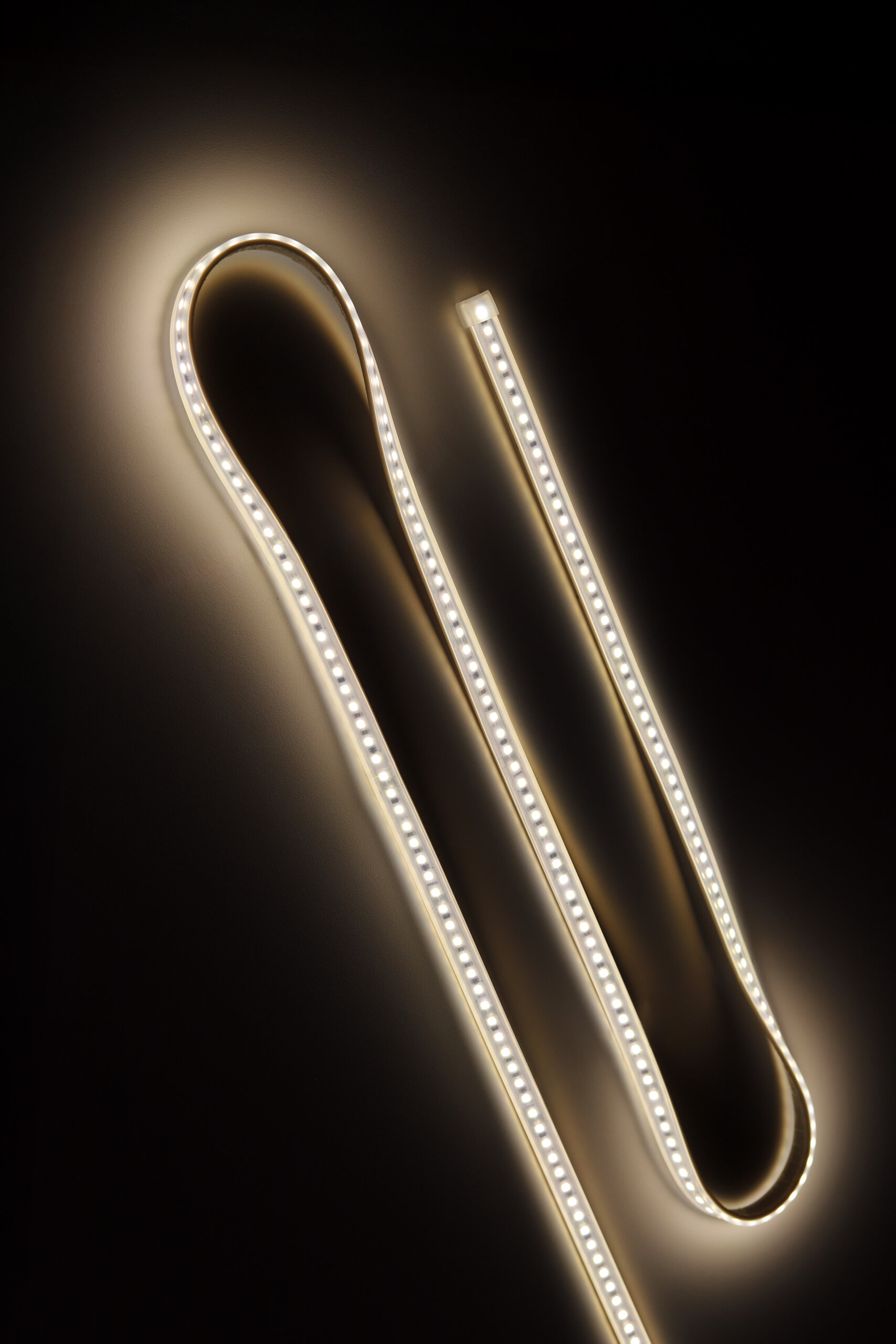 FELDMANN_Banner_Newsletter_LUNORA_LED_IP65_03_warm leistungsstarkes LED-Band